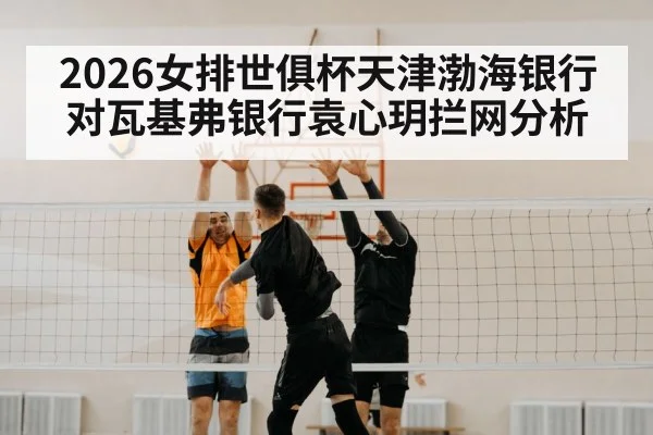 volleyball blocking net